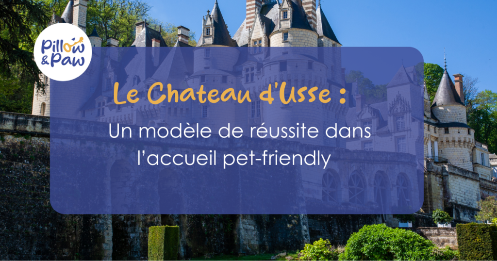 Lire la suite à propos de l’article Le Château d’Ussé : Un modèle de réussite dans l’accueil pet-friendly